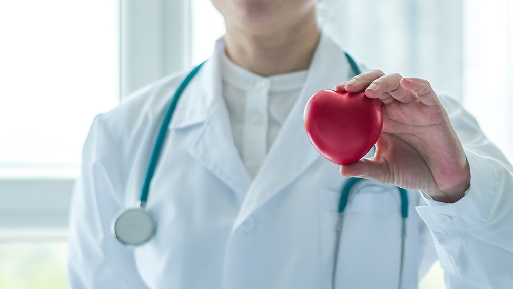 doctor holding heart
