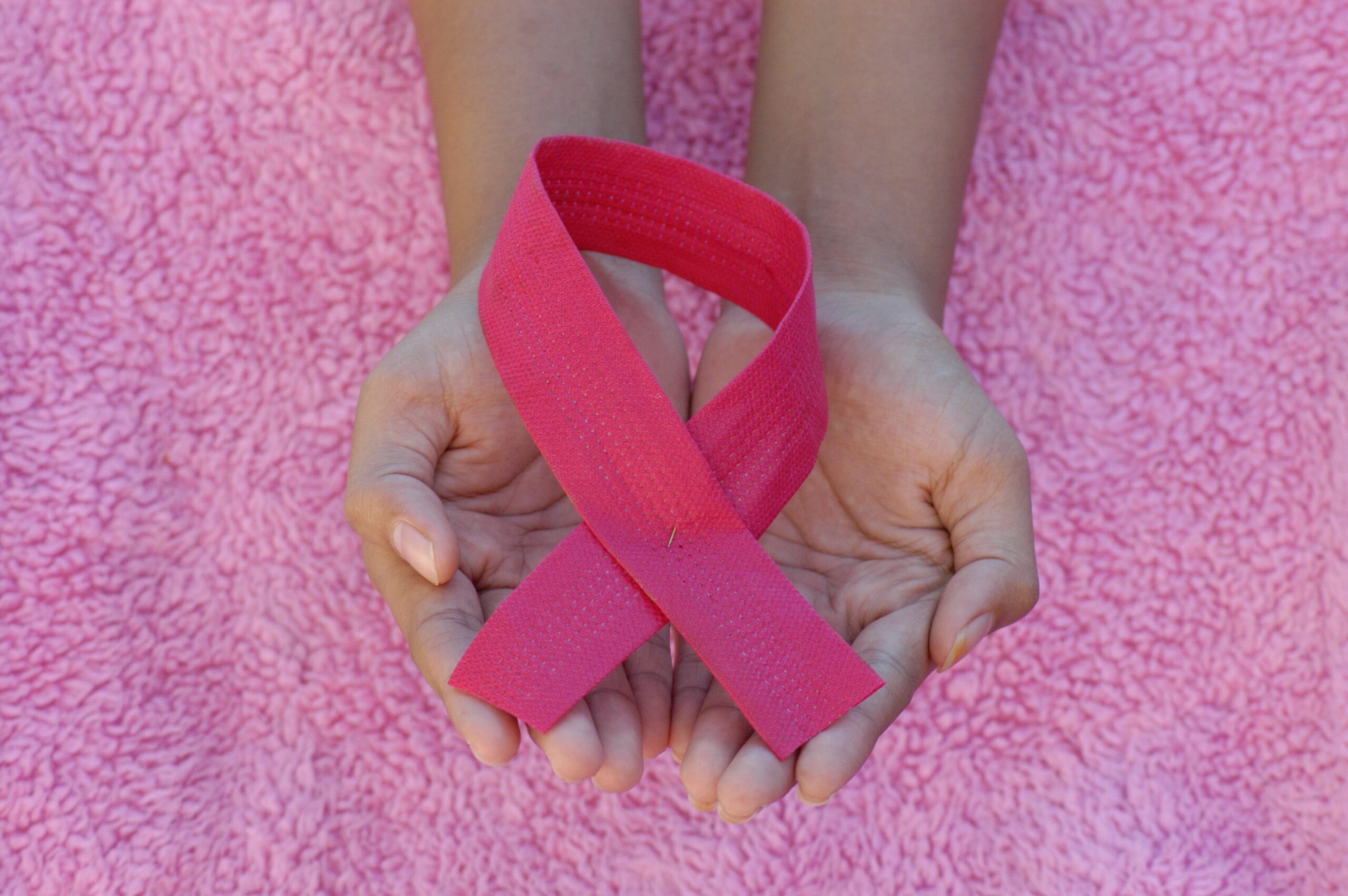 person holding pink ribbon